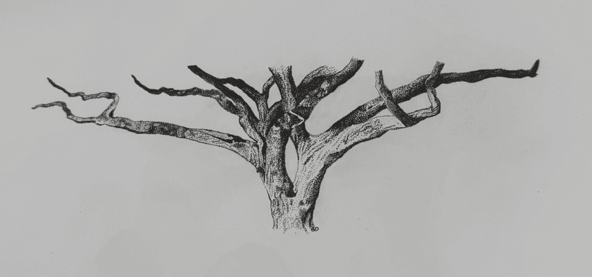 A tree